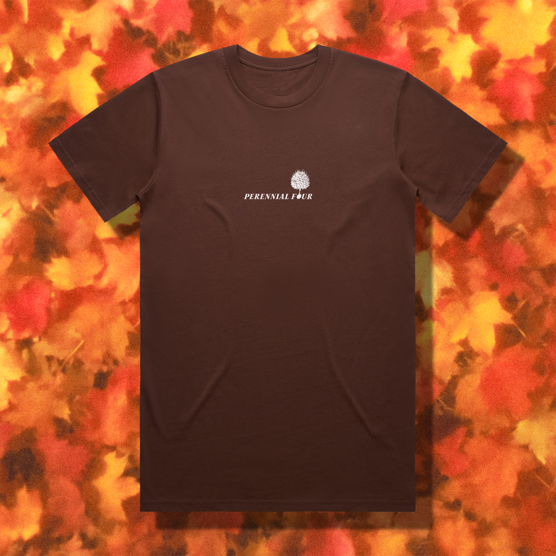 "RED DELICIOUS" // CHESTNUT