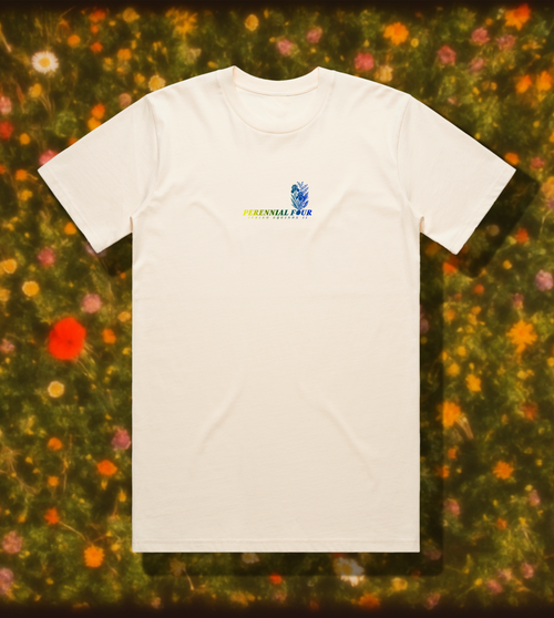 BEARDED IRIS TEE // ECRU