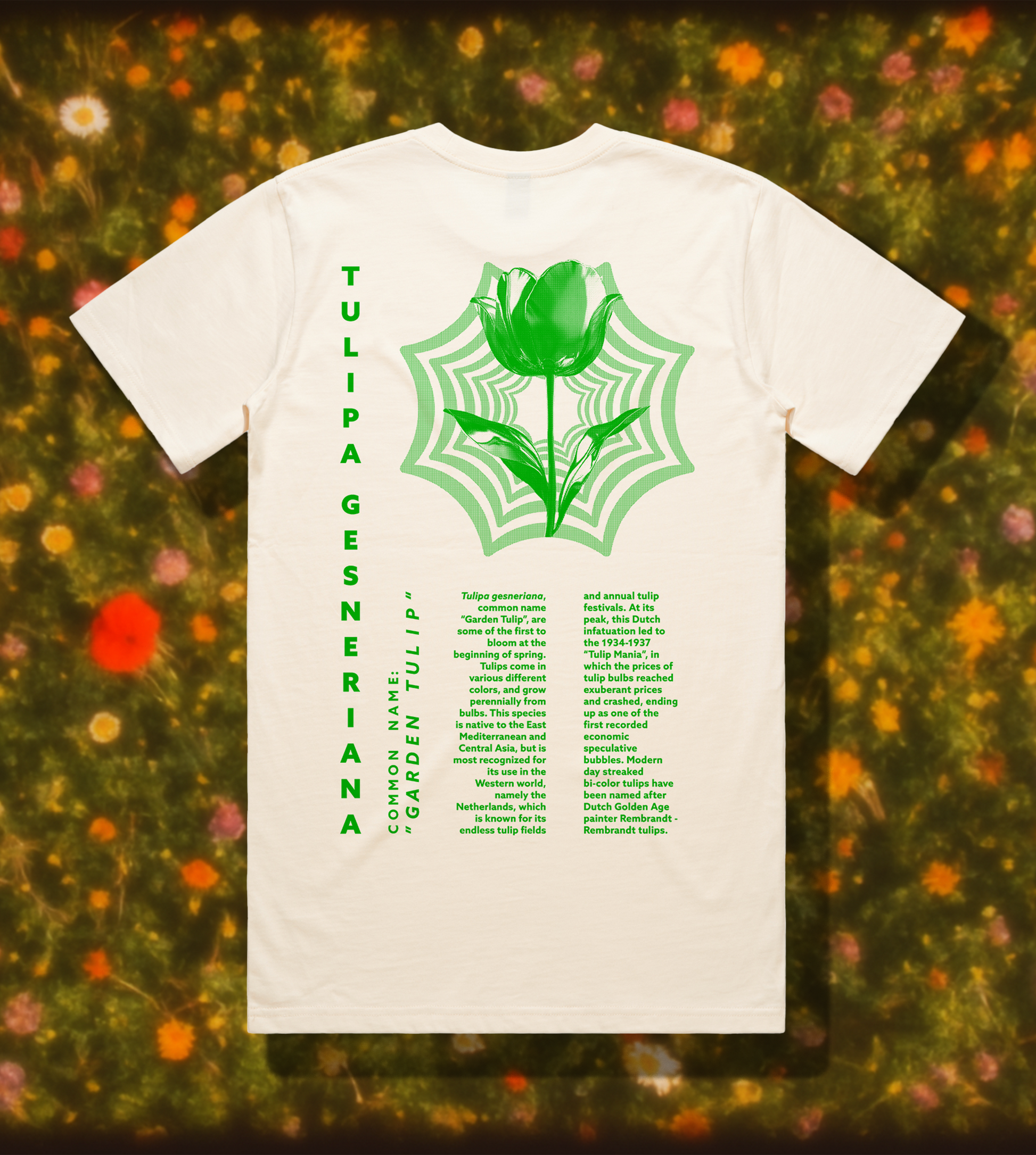 TULIP TEE // ECRU