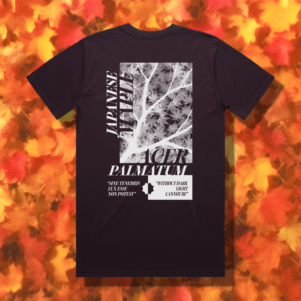 "ACER PALMATUM" // PLUM