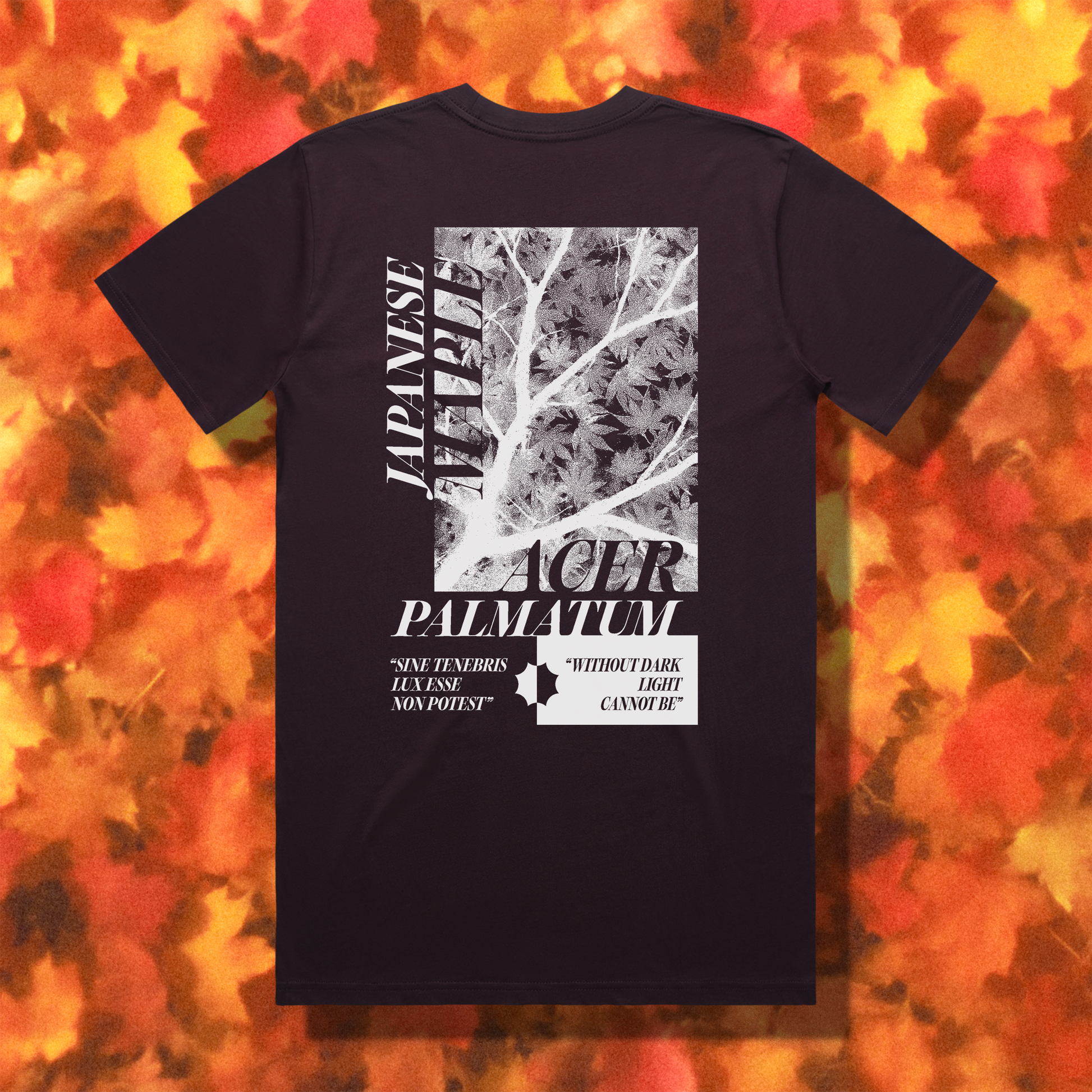 "ACER PALMATUM" // PLUM