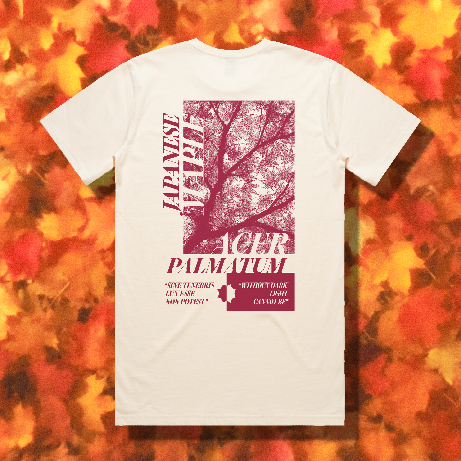 "ACER PALMATUM" // ECRU