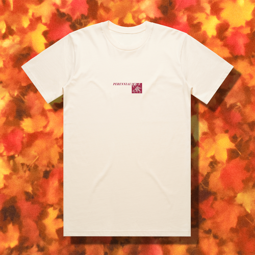 "ACER PALMATUM" // ECRU