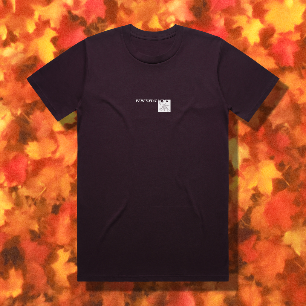 "ACER PALMATUM" // PLUM