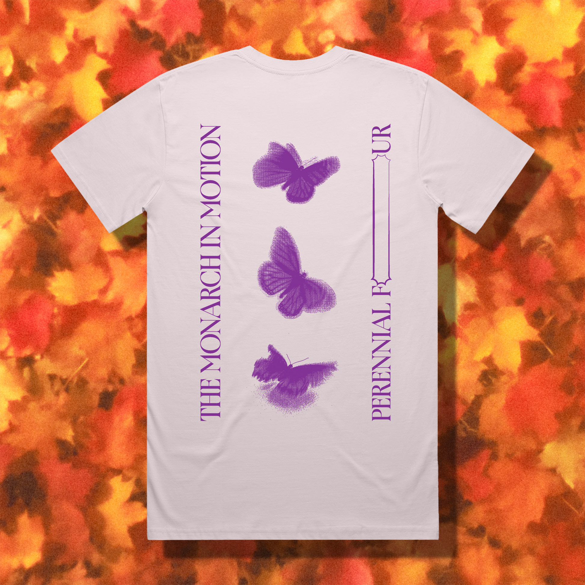 "MONARCH" // ORCHID PINK