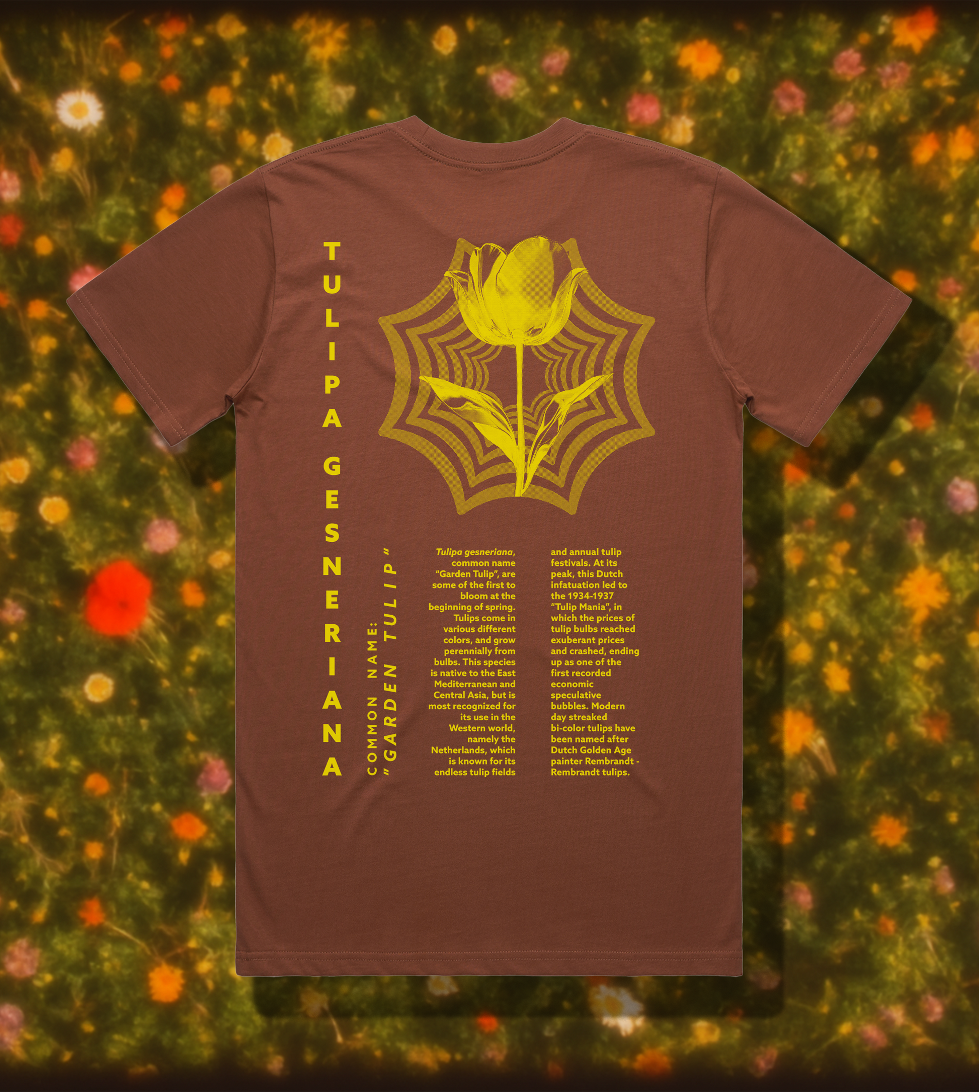 TULIP TEE // CLAY